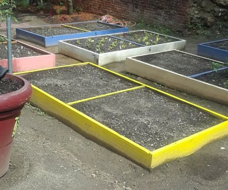 La Isla USA Community Garden