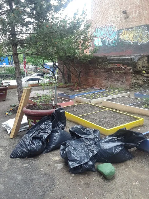 La Isla USA Community Garden Picture 2