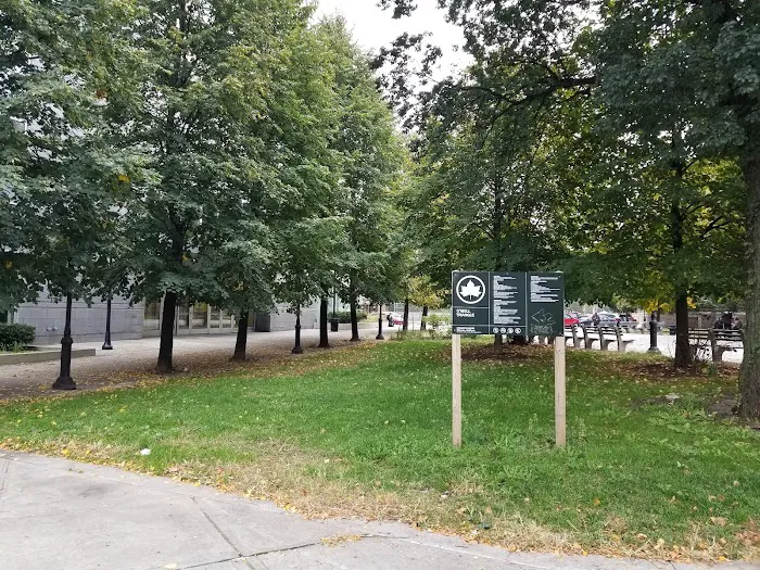O'Neill Triangle Picture 8