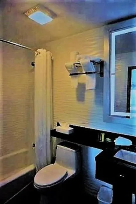 Umbrella Hotel Bronx Picture 5