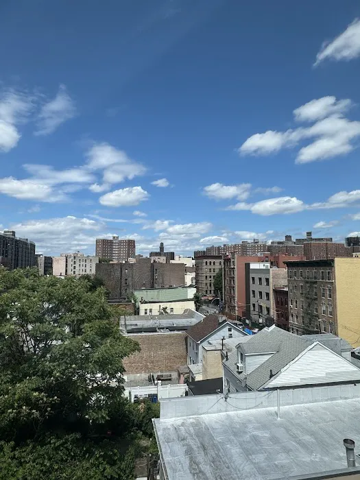 Umbrella Hotel Bronx Picture 7