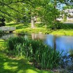 The Green at Wilmot Woods