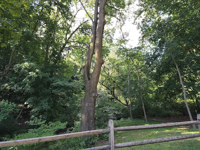 Hyatt Park Picture 3