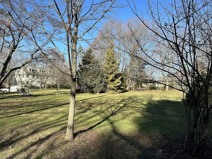 De Lima Park Picture 5