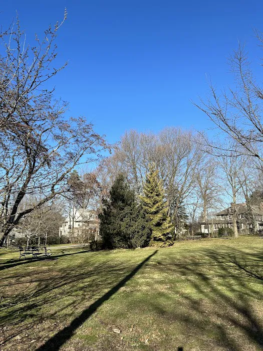 De Lima Park Picture 3