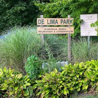 De Lima Park ico
