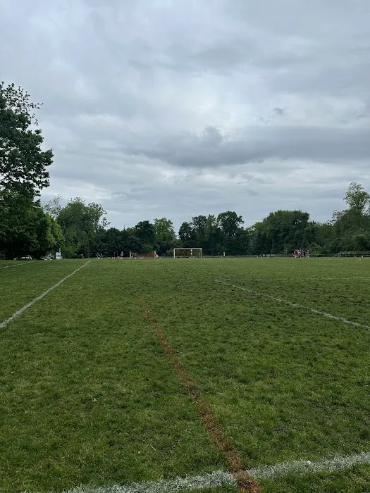 Crossway Field Picture 2