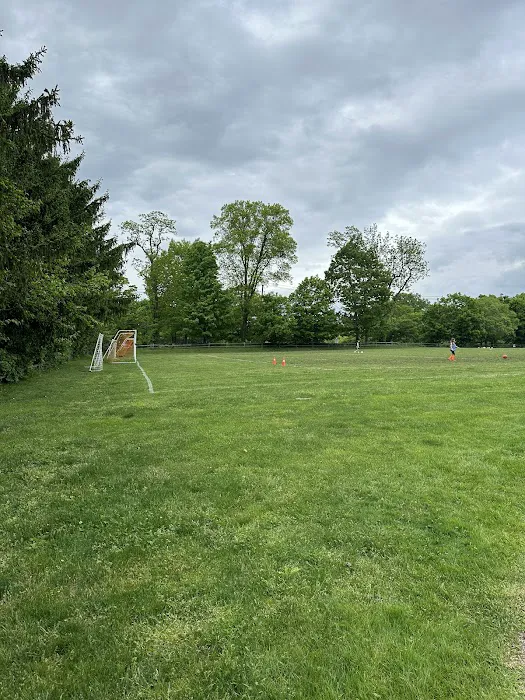 Crossway Field Picture 4