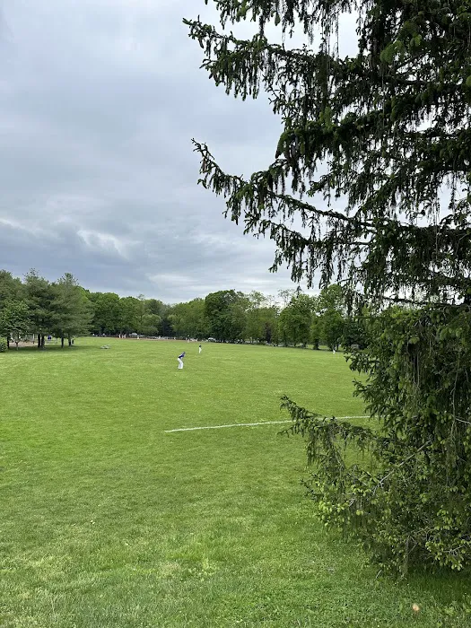 Crossway Field Picture 5