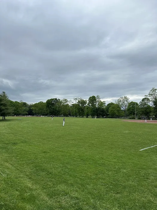 Crossway Field Picture 1