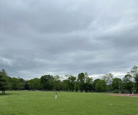 Crossway Field