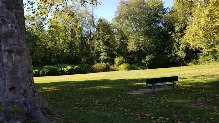 Wynmor Park Picture 5