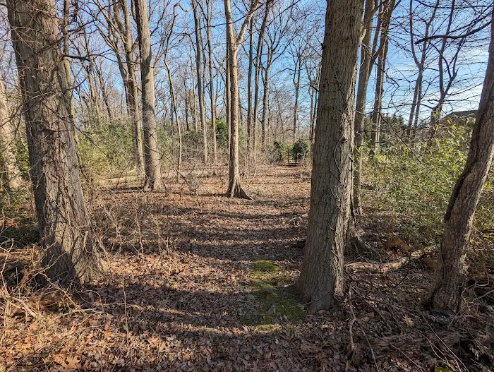 Woodland Reserve Picture 2