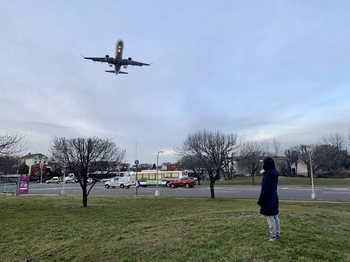 Airplane Viewing At LaGuardia Airport Picture 7
