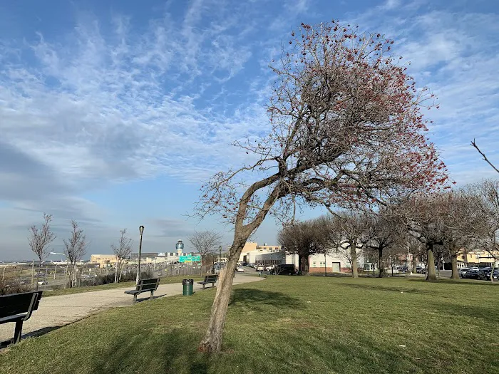 Planeview Park Picture 8