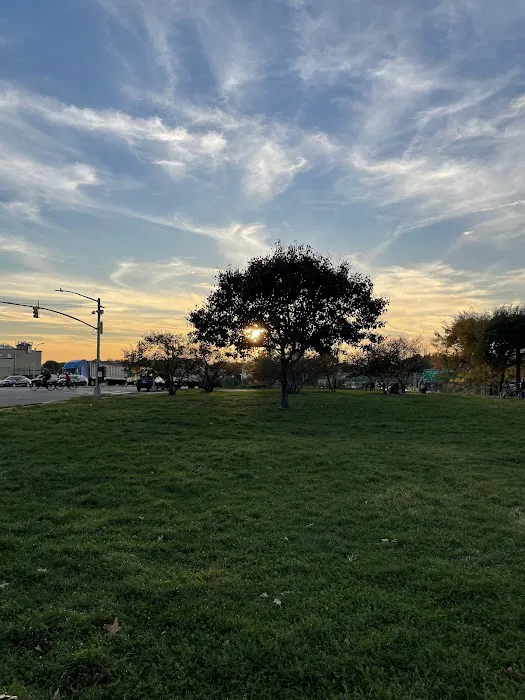 Planeview Park Picture 10