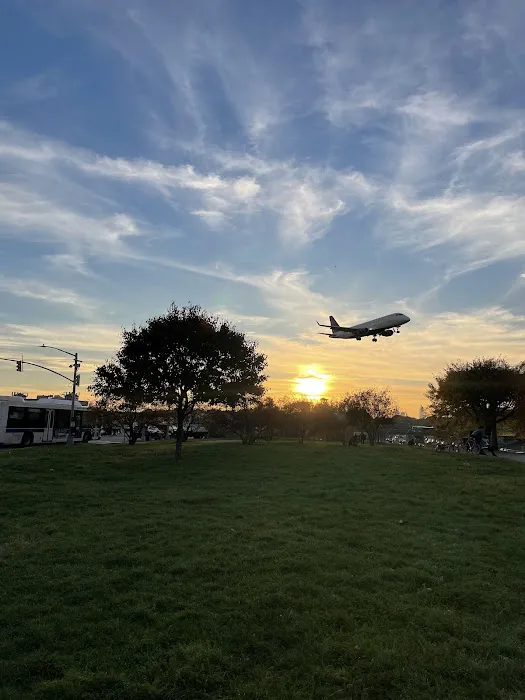 Planeview Park Picture 9