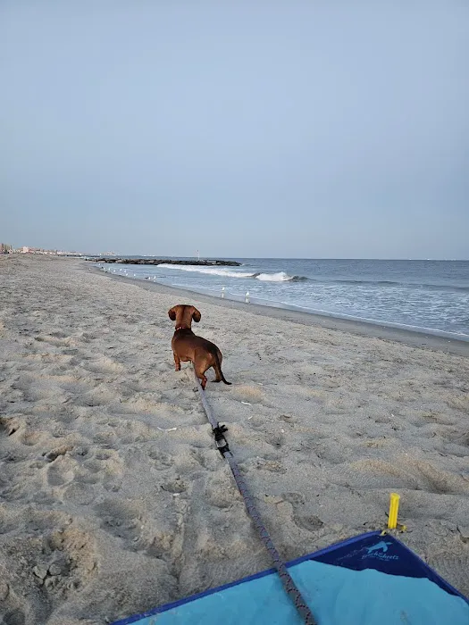 End of Ocean Promenade Belle Harbor Boardwalk Picture 3