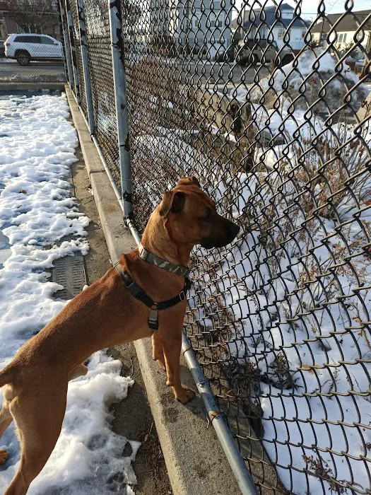Broad Channel Park Picture 5