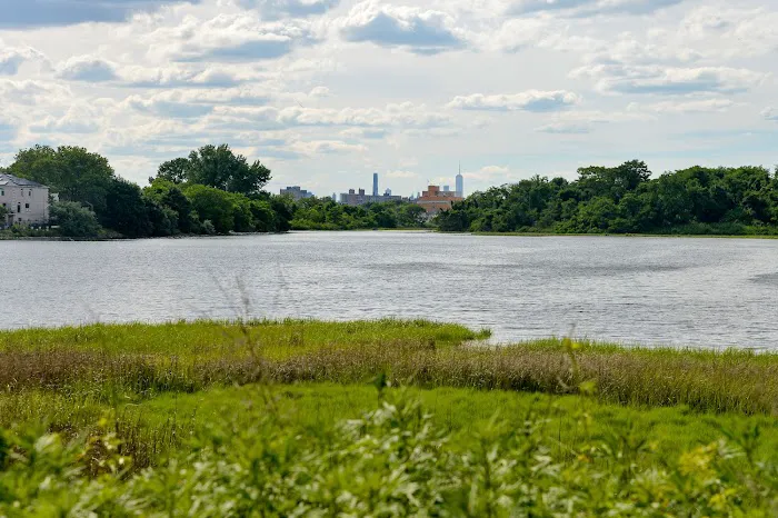 Fresh Creek Nature Preserve Picture 1