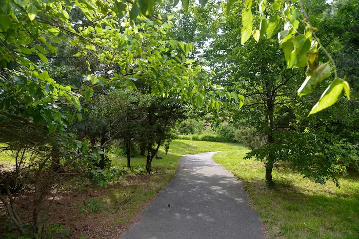 Fresh Creek Nature Preserve Picture 10
