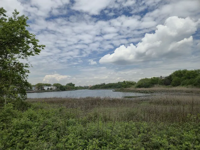 Fresh Creek Nature Preserve Picture 5