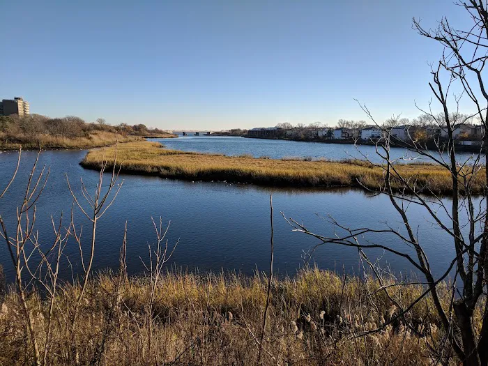 Fresh Creek Nature Preserve Picture 7