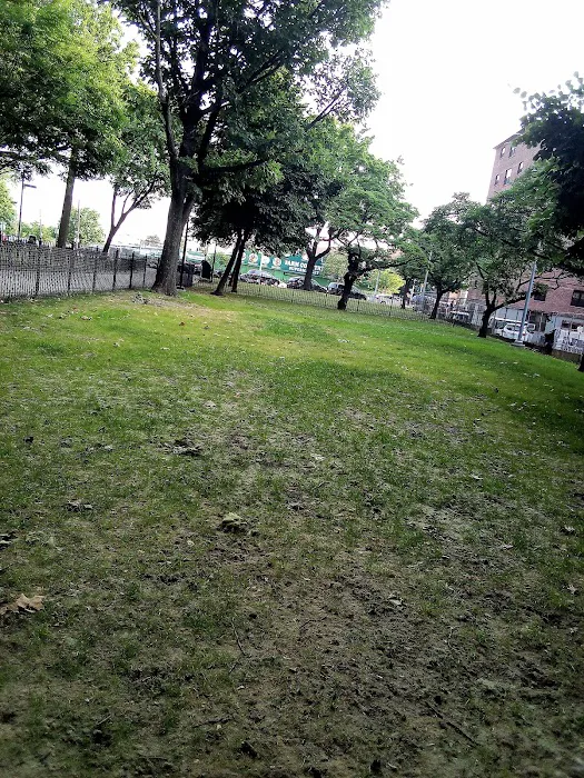 Linden Boulevard Dog Run Picture 1