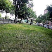 Linden Boulevard Dog Run ico