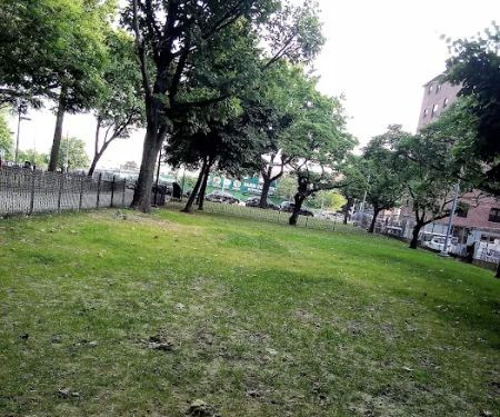 Linden Boulevard Dog Run