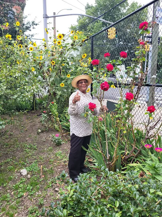 Upon This Rock Community Garden Picture 2