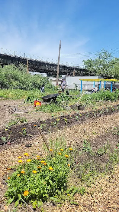 ENY Youth Farm Picture 1