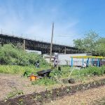 ENY Youth Farm