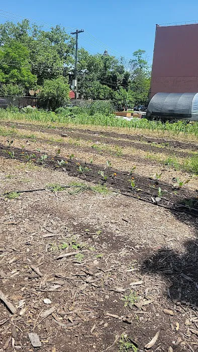 ENY Youth Farm Picture 2