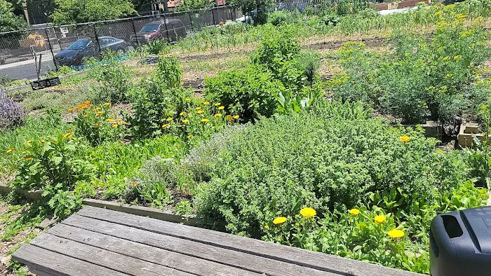 ENY Youth Farm Picture 3