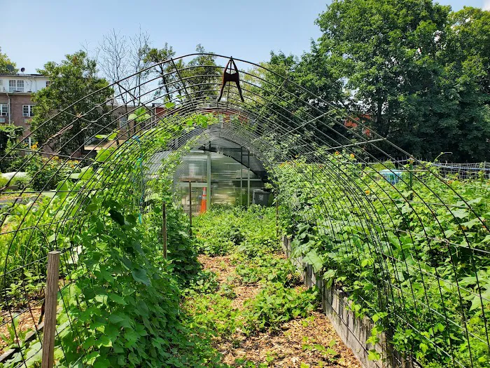 ENY Youth Farm Picture 6