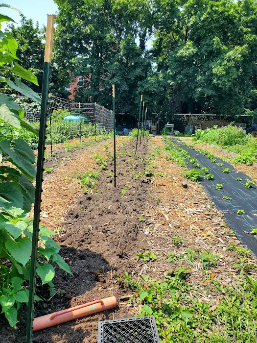 ENY Youth Farm Picture 10