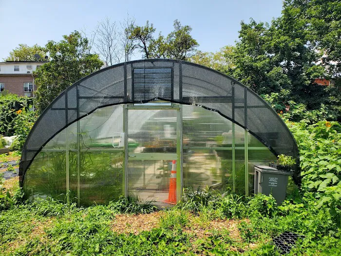 ENY Youth Farm Picture 7