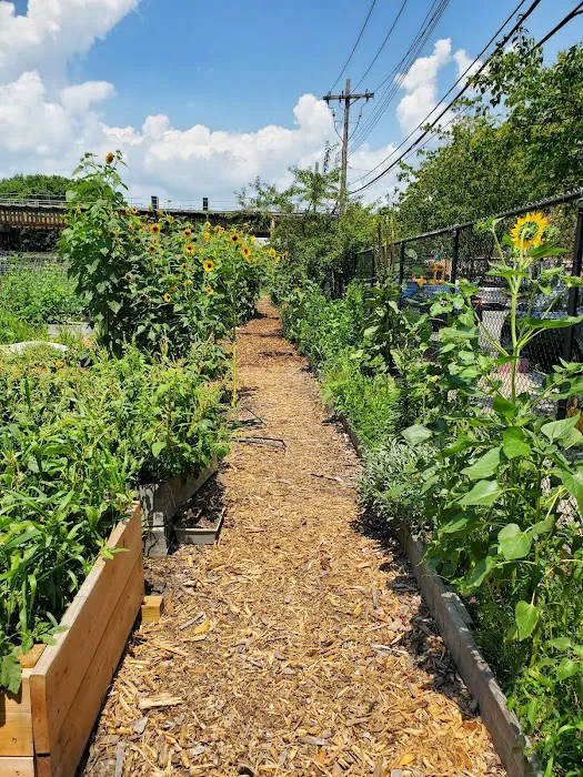 ENY Youth Farm Picture 5