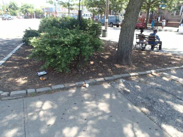 Wyckoff Triangle Picture 1