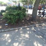 Wyckoff Triangle