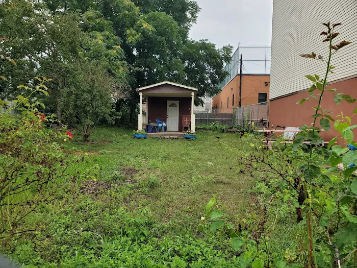 Shield of Faith Garden Picture 2