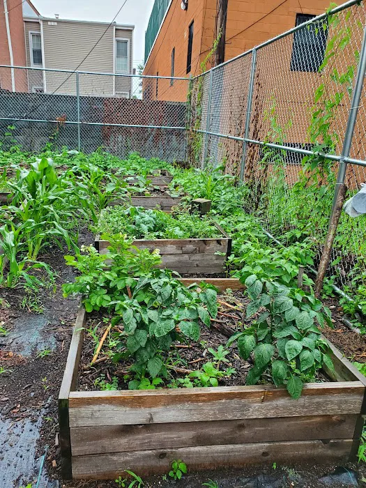 Shield of Faith Garden Picture 3