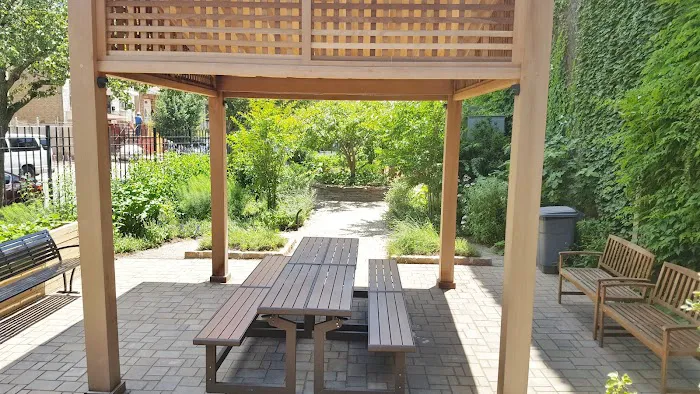 Essex Street Community Garden Picture 7