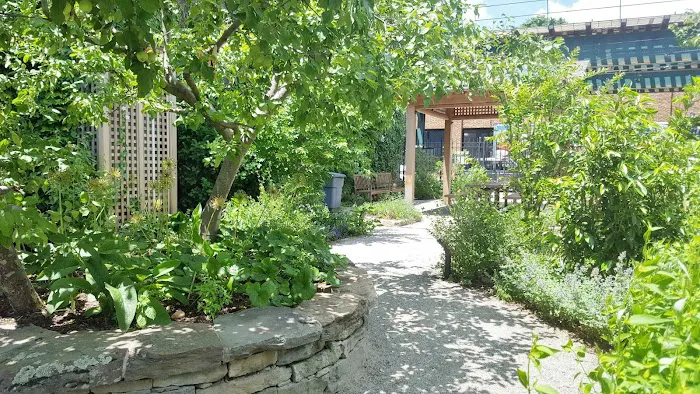 Essex Street Community Garden Picture 5