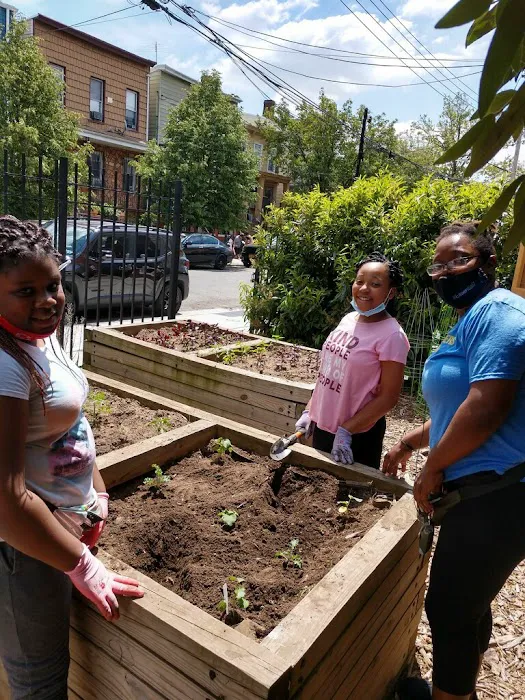 Essex Street Community Garden Picture 2