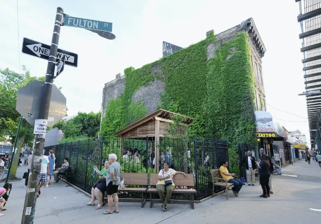 Essex Street Community Garden Picture 10