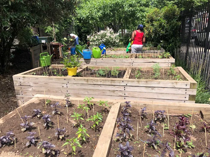 Essex Street Community Garden Picture 3