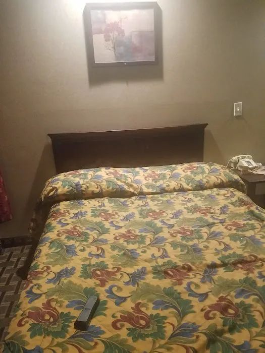 Riviera Motor Inn Picture 10