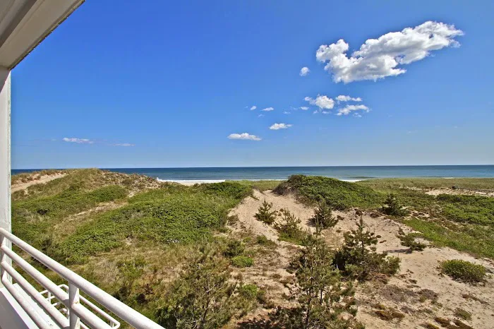 Hermitage Amagansett Picture 6